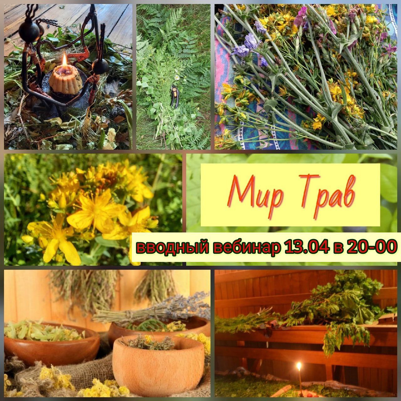 травы Мир трав